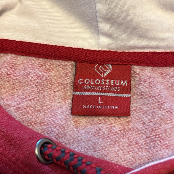 Colosseum Arkansas Razorbacks Red Hoodie Sweatshirt Size Lg fits more like med. - Picture 4 of 14